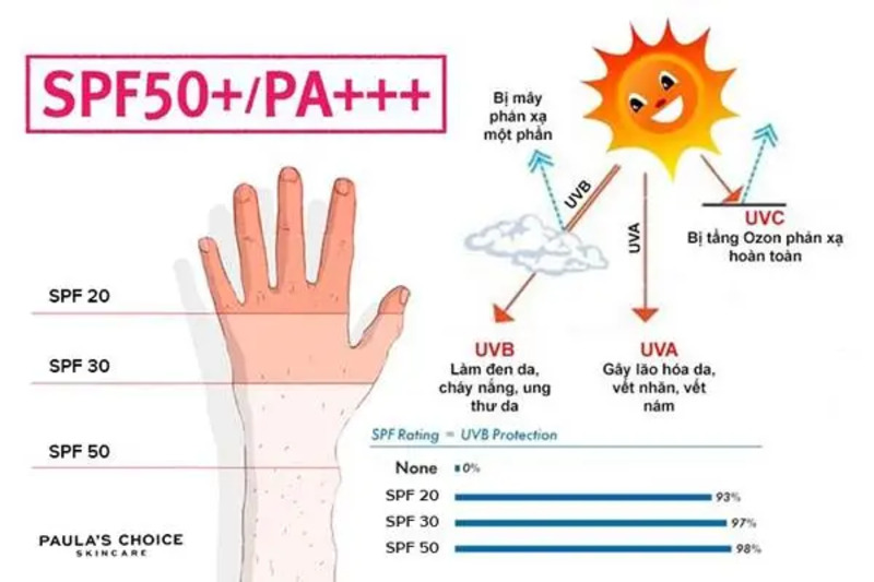 Chỉ số SPF là chỉ số đo lường khả năng chống lại tia UVB của kem chống nắng 