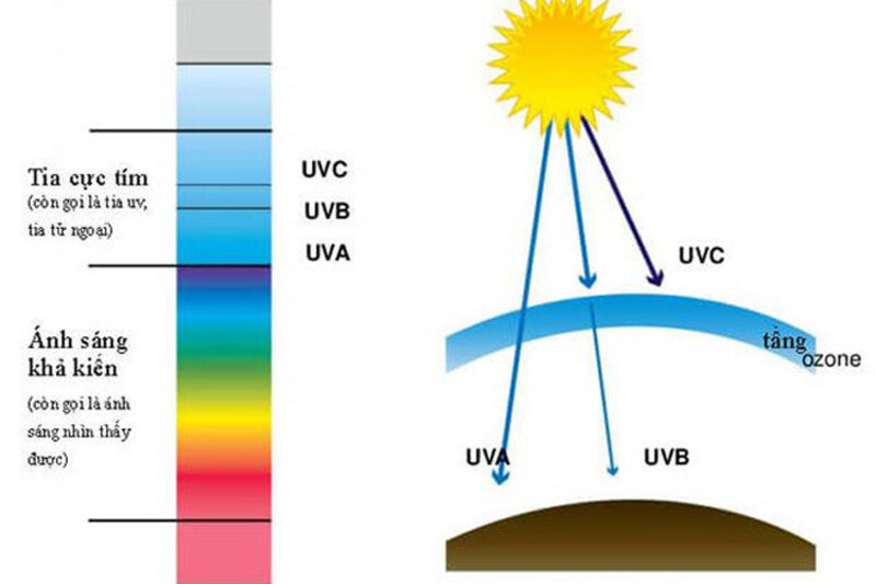 Tia UV hay còn gọi là tia tử ngoại hay tia cực tím 