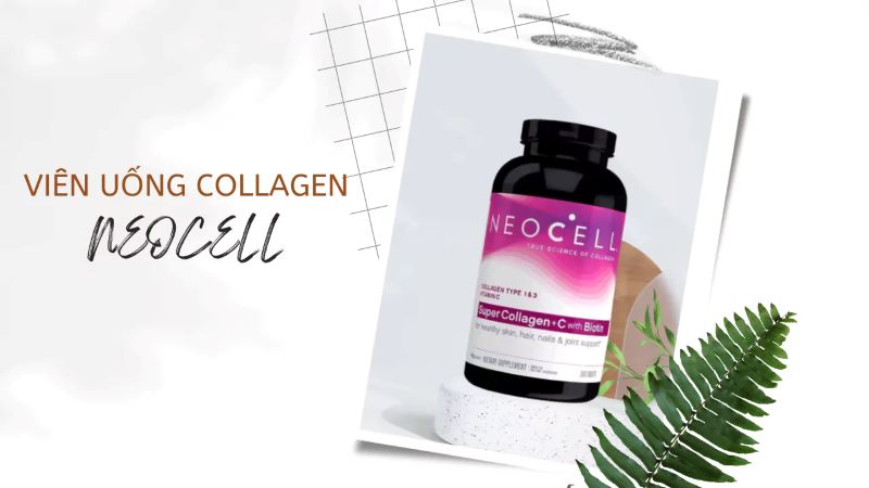 tim-hieu-doi-net-ve-collagen-neocell