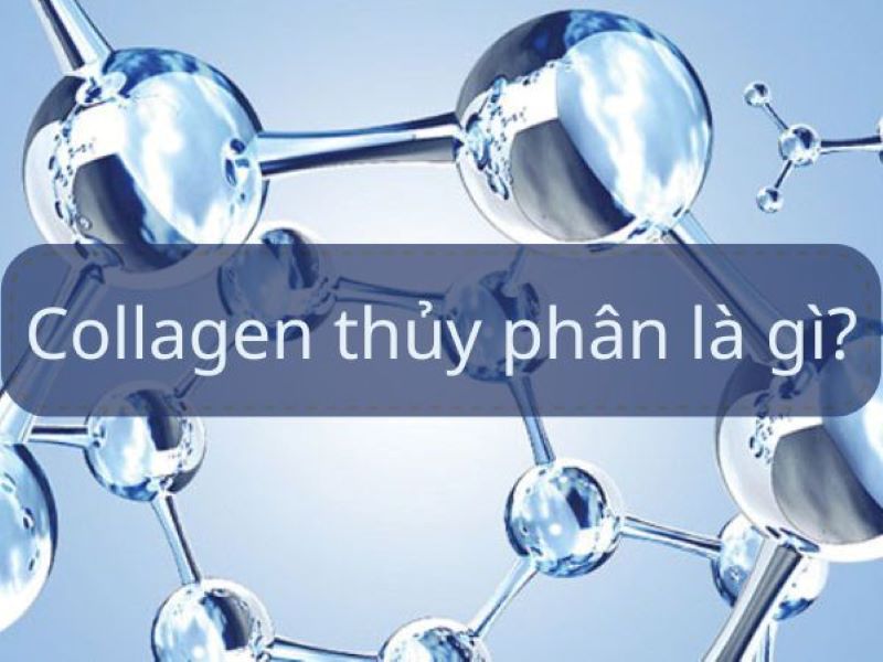 tim-hieu-collagen-thuy-phan-la-gi