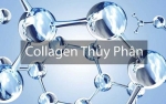 Collagen thủy phân là gì? Top 8 loại collagen thủy phân tốt nhất 2024