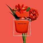 Top 8 nước hoa Narciso mùi thơm nhất đang được ưa chuộng nhất